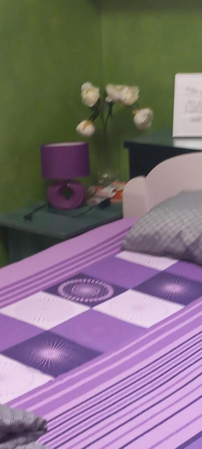 Sweet Home Danube Liman Apartment 노비사드 외부 사진