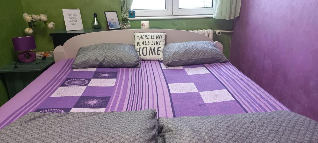Sweet Home Danube Liman Apartment 노비사드 외부 사진