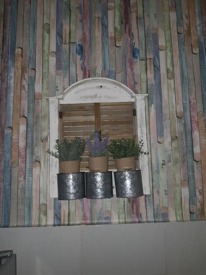 Sweet Home Danube Liman Apartment 노비사드 외부 사진