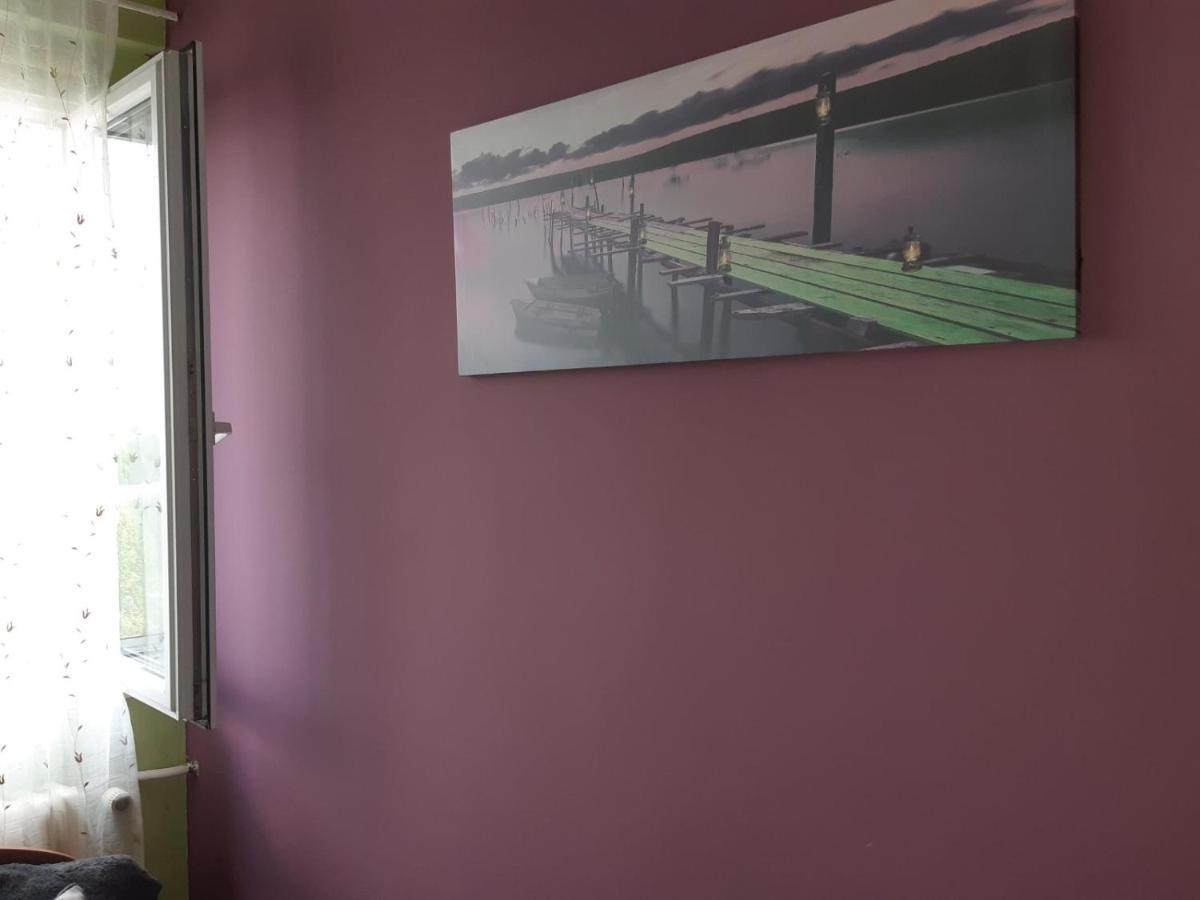 Sweet Home Danube Liman Apartment 노비사드 외부 사진