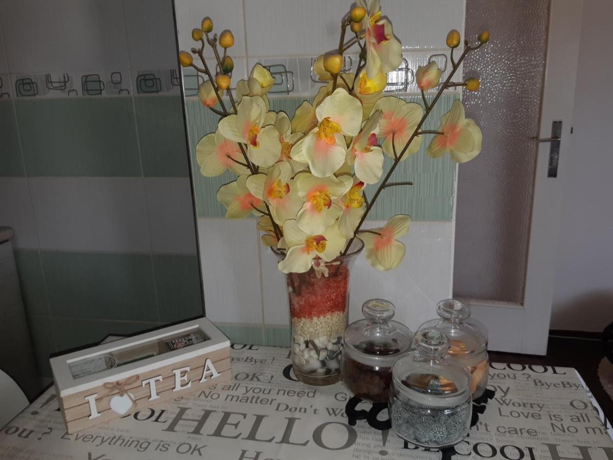 Sweet Home Danube Liman Apartment 노비사드 외부 사진